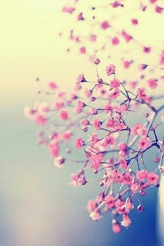 Flowers Vintage We Heart It