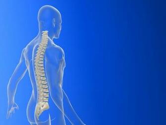 Chiropractic Medicine And Conditions Treated By Chiropractors