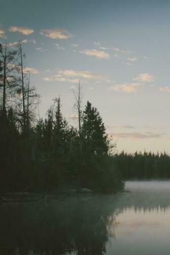 Lake Mist Foggy Forest Morning Nature Water