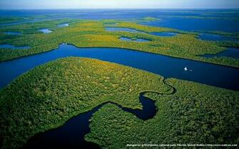 Full HD Pictures Everglades National Park Kb