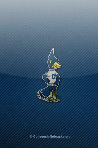 Leather HD Blue Jays Toronto iPhone Wallpaper
