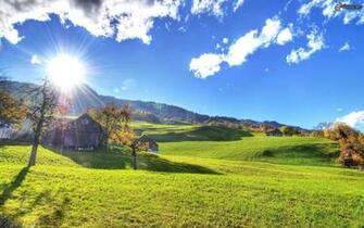 Green Meadow