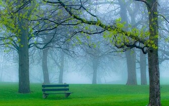 Wallpaper HD Pictures One Background