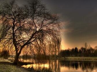 The Black Forest Germany World For Travel