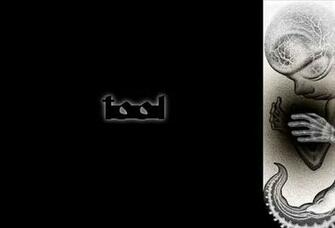 Tool Wallpaper Background Theme Desktop