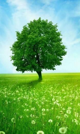 Wallpaper Nokia Lumia Blackberry Z10 X