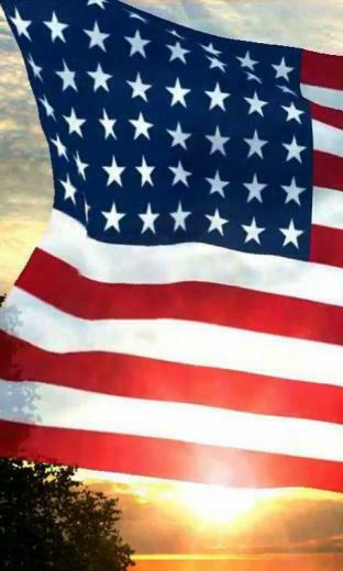 Usa Flag Live Wallpaper For Your Android Phone