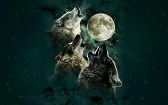 Wolf Howling Wallpaper 52dazhew Gallery