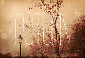 Background Fall I Am Just Waiting For