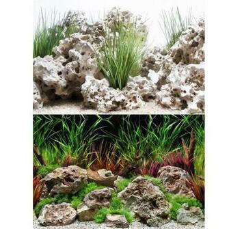Marina Planted Hideaway Texas Cloud Aquarium Background