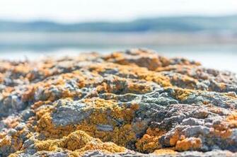 Orange Rocks In The Bic National Parc 4k Wallpaper