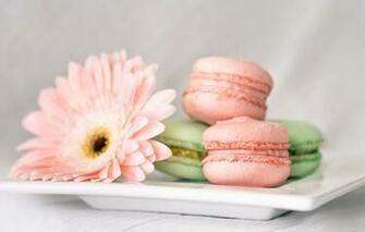 Wallpaper Cakes Gerbera Macaroon Image For Desktop Section