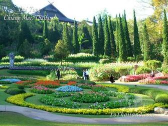 Doi Tung Chiang Rai Wallpaper