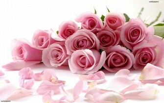 Pink Roses Background High Quality Wallpaper Desktop