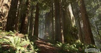 Artstation Star Wars Battlefront Andrew Hamilton Nature