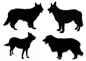 Dog Silhouettes By Paulinemoss