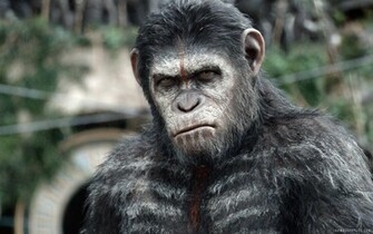 Dawn Of The Planet Apes HD Wallpaper IHD