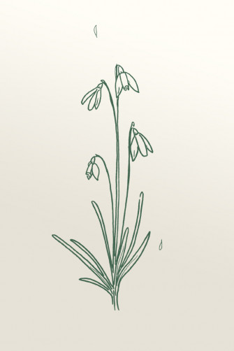 Spring Flower Trio Device Wallpaper Danielle Verderame Marketing