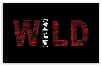 Wild And Crazy HD Wallpaper For Standard Fullscreen Uxga Xga Svga