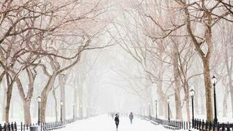Central Park In New York What To Do Where Eat Cnn Travel