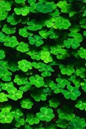 iPhone Wallpaper St Patrick S Day Tjn