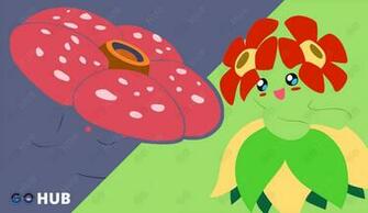 Pok Mon Go Vileplume Vs Bellossom Spend Your Oddish Candy