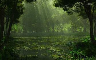 Sunlit Swamp Wallpaper Nature