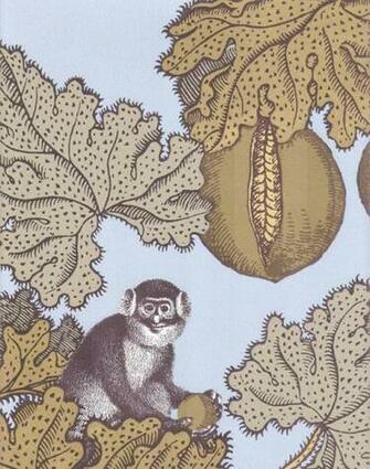 Frutto Proibito Wallpaper