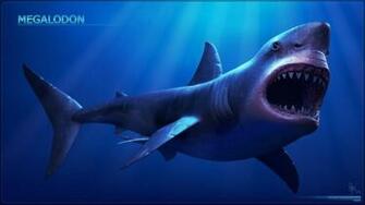 1000px Megalodon Giant Shark Wallpaper HD