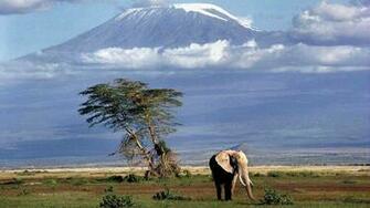 Mount Kilimanjaro Wallpaper X Net