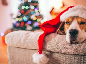 Your Mother S A Shrew She Wouldn T Know Christmas Spirit If It