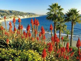 Laguna Beach California Usa Wallpaper And Image