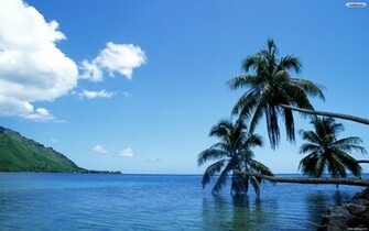 Youwall Tahiti Sea Wallpaper
