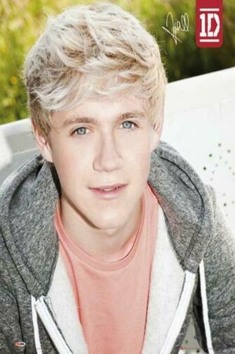 One Direction Niall iPhone Wallpaper Photo