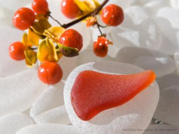 Sea Glass Photography
