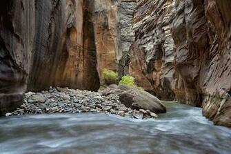 Zion National Park Utah De Wallpaper Background