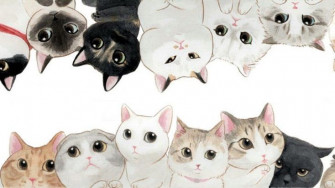 6f548d50897637a334adcc6187b394f8 Wallpaper