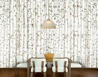 Wall Mural Birch Wallpaper Tree Forest Wood Trunk Pattern