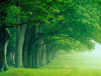 Desktop Background Nature Full Size