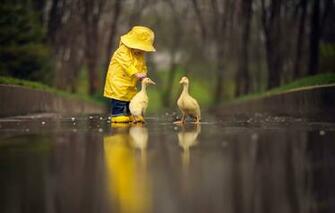 Wallpaper Birds Reflection Child The Goslings Yellow Raincoat