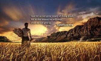 Bible Verses About Patience Galatians HD Wallpaper