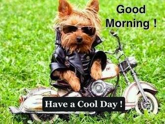 Funny Good Morning Image