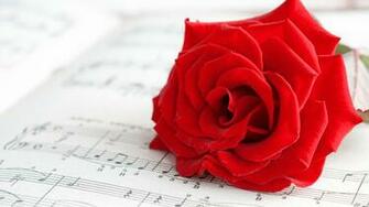 Red Rose Music Wallpaper1920x1080 Wallpaper Screensaver