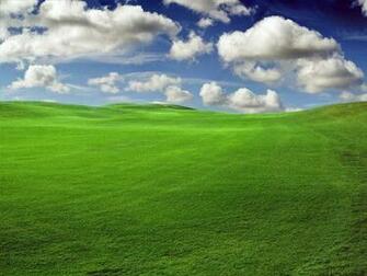 Original Windows Wallpaper The You