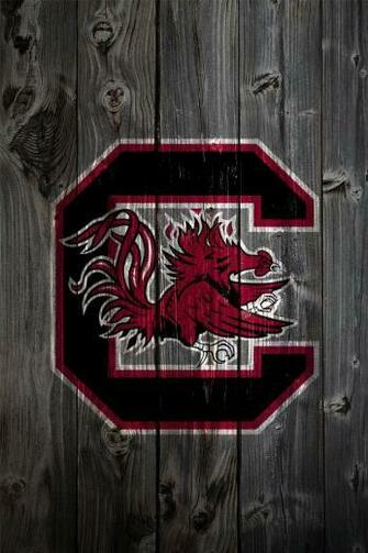 South Carolina Gamecocks Desktop Wallpaper