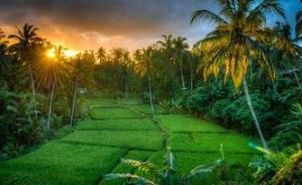 Gambar Wallpaper Pemandangan Indah Foto Alam