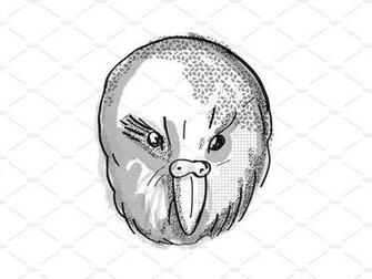 Kakapo New Zealand Bird Cartoon Retro By Patrimonio On