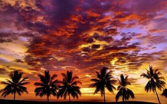 HD Tropical Sunset Wallpaper