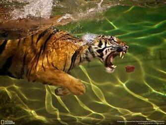 National Geographic Photography