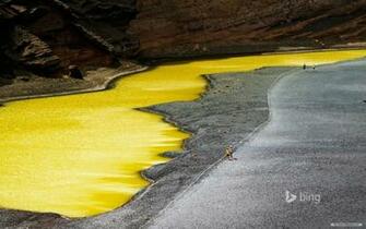 Nature Wallpaper Microsoft Bing
